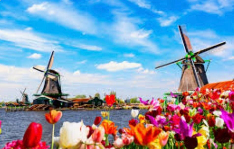 Huisje Finn, Met Grote Tuin En Veel Privacy Dirkshorn Luaran gambar